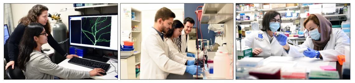 Postdoctoral Research Opportunities in Science Postdoctoral Research Opportunities in Science